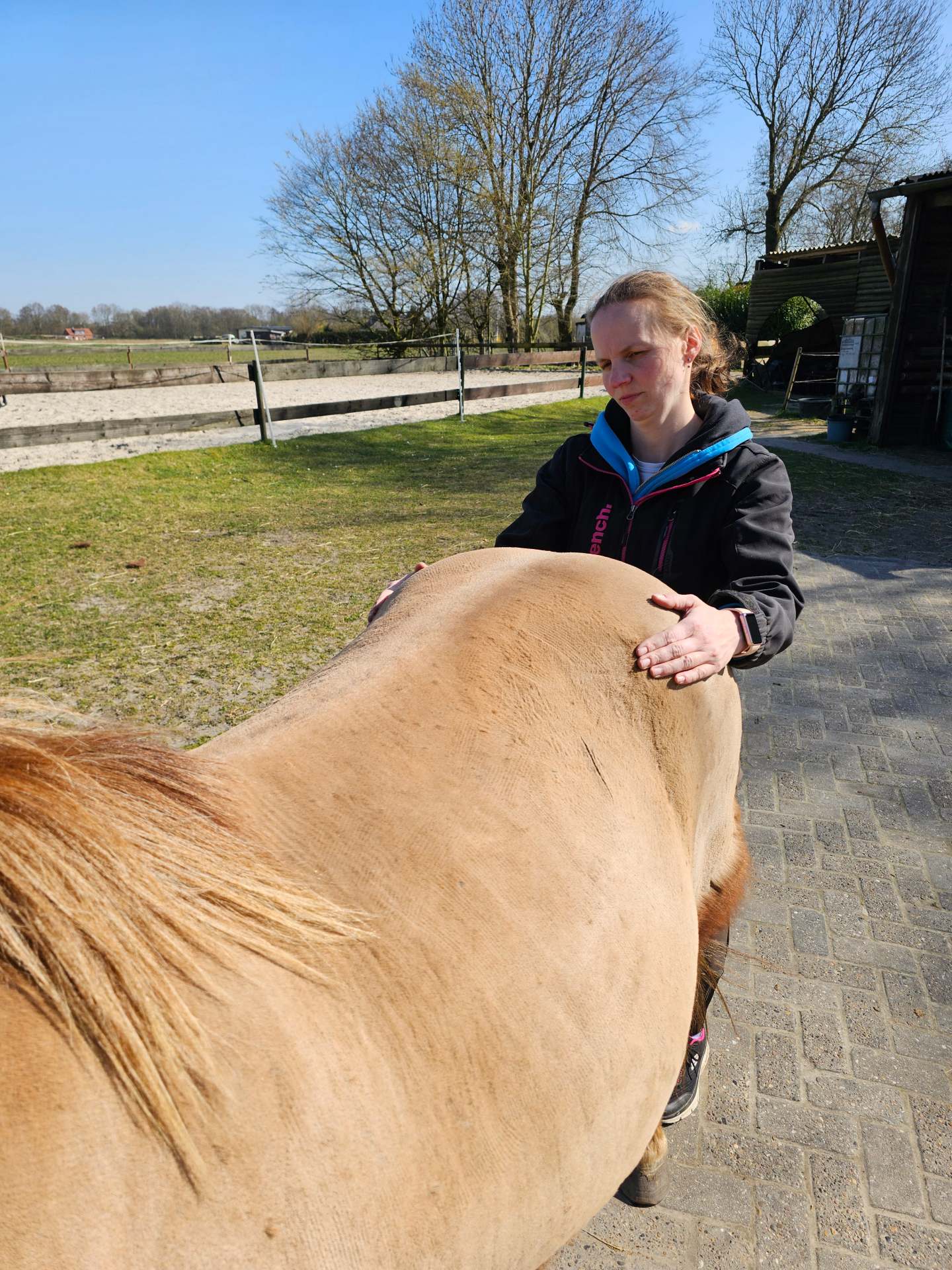 Beurteilung des Beckens